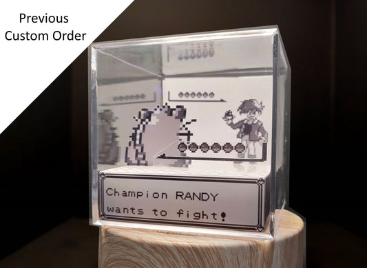 Custom Diorama Cube